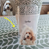 Telefoonhoesjes huisdier